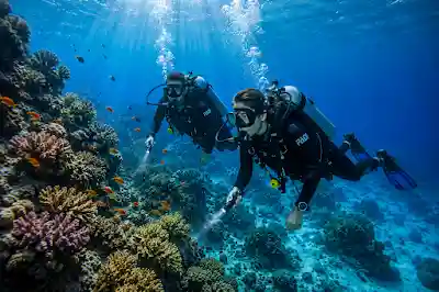 Scuba divers exploring underwater coral formations in the Red Sea Hurghada